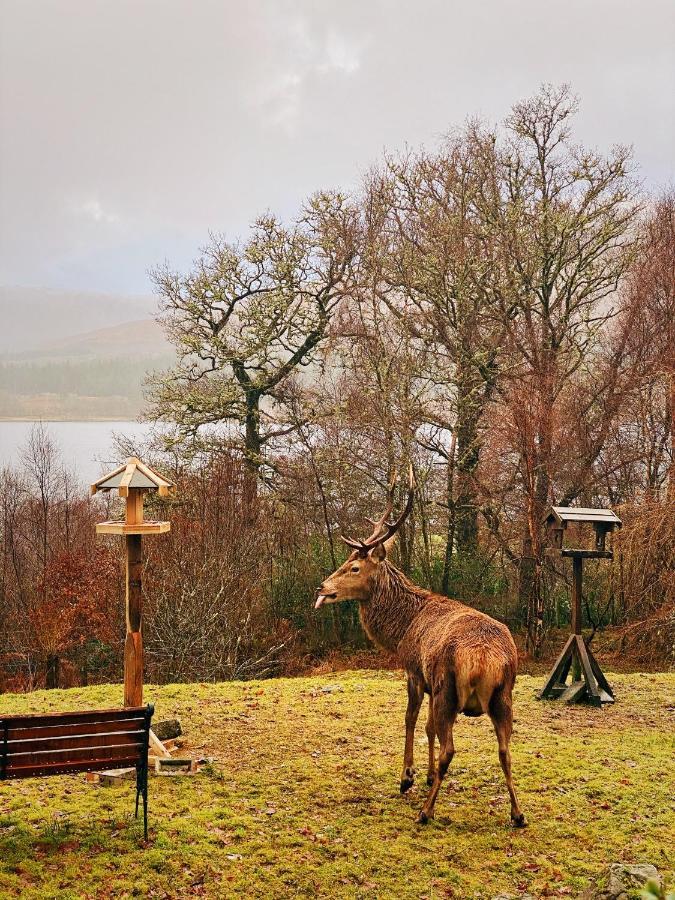 Tarmachan Cottage - West Highland Getaway Fort William Eksteriør billede
